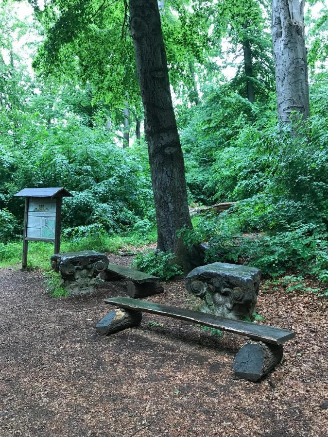 Ferienwohnung Morgensonne Am Kurpark Bad Berka - Parkplatz - Spielplatz - Wlan - 2 Schlafzimmer Zewnętrze zdjęcie